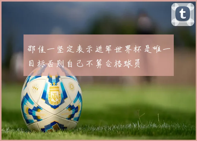 邵佳一坚定表示进军世界杯是唯一目标否则自己不算合格球员