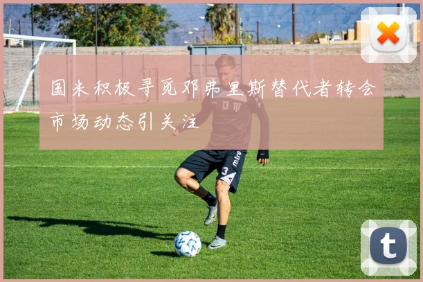 国米积极寻觅邓弗里斯替代者转会市场动态引关注