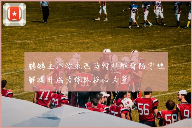 鹈鹕主帅称米西马特科维奇防守理解提升成为球队核心力量